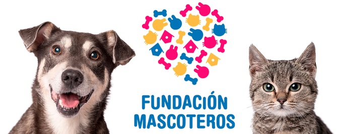 Ayuda a los perros y gatos abandonados colaborando con Mascoteros Solidarios